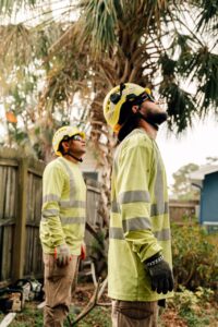 Tree service
